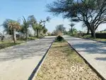Farmhouse for sale in behror sotanala
