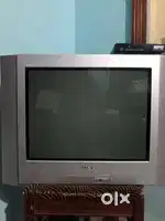 Sony Vega with receiver (sundirect)