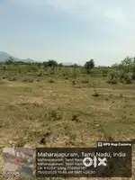 Agriculture forming punjai land for sale