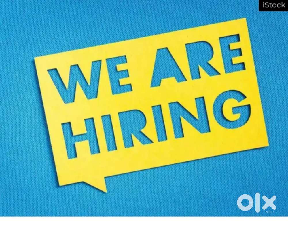 Sales Executive and Pre sales executive