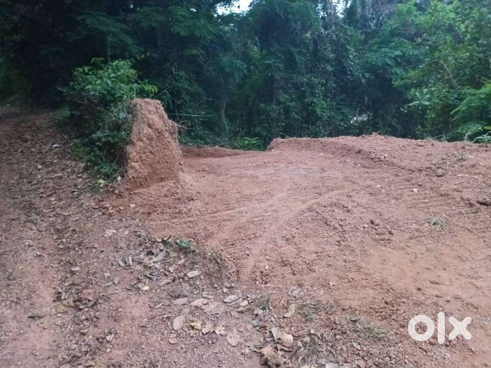 5 Cent Commercial Land for Sale at Nettissery, Thrissur (SJ)