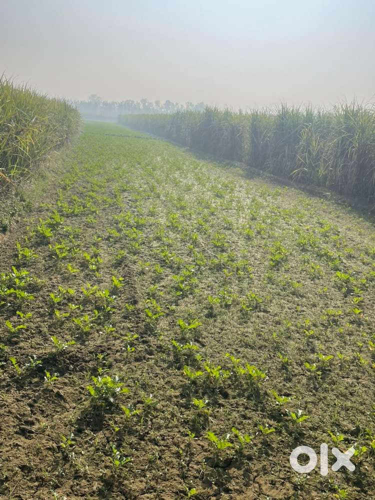 1 bigha land for lease main 4 line highway meerut -bijnor nr hp petrol