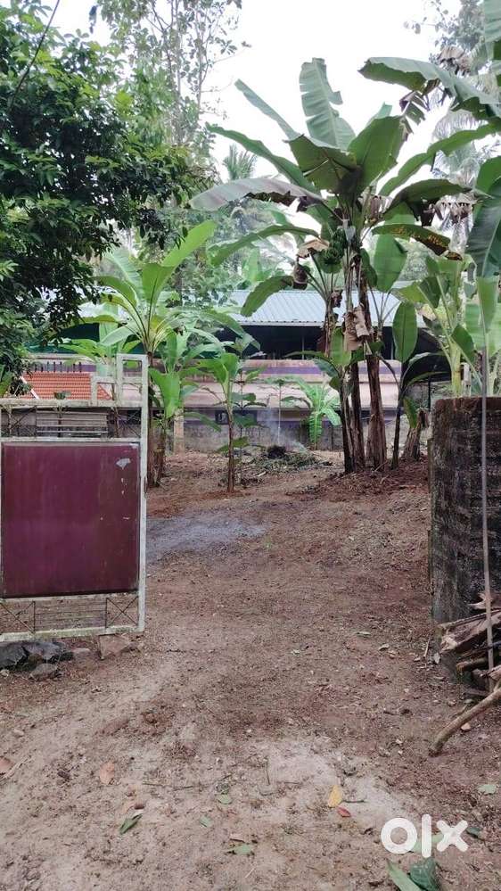 തിരുവനന്തപുരം, തിരുമലക്ക് അടുത്തായി, വീഴവൂർ.14 സെന്റ് ഹൗസ് പ്ലോട്ട് വി