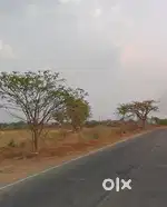 11acre land