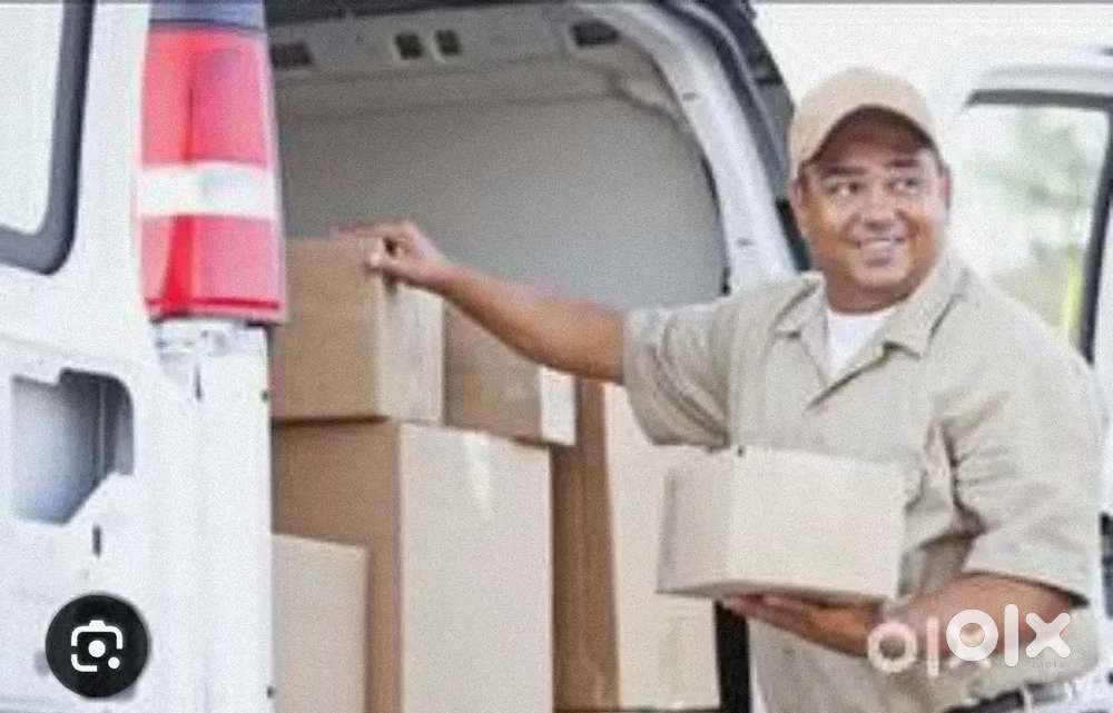 Parcel van helper