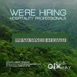 Maintenance Executive : Electrical and Plumbing