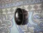 protonics earbud