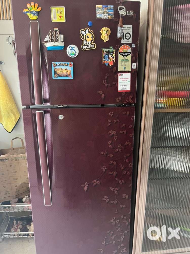 LG double door fridge/Refrigerator