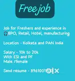 Customer care, SMO, DEO, IT