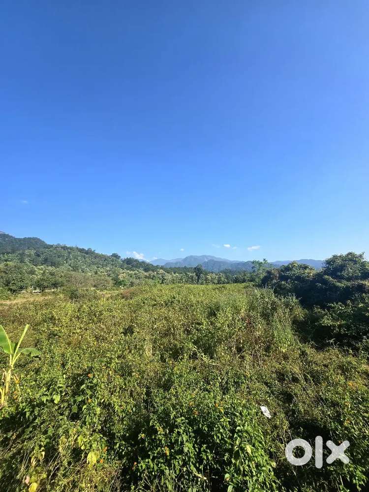 1.5 Acre Commercial Land for sale in Kotabagh