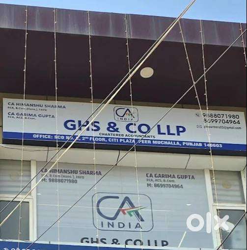 ACCOUNTANT FOR CA OFFICE