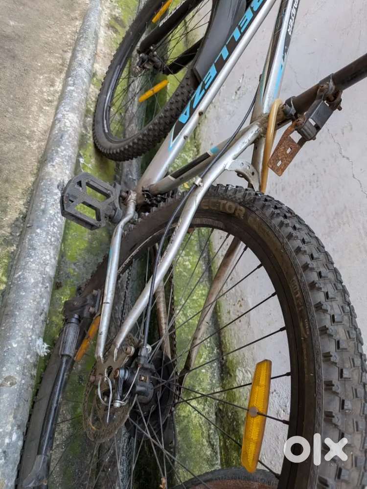 Belleza mountain bike -great for city &trails! double disc breaks