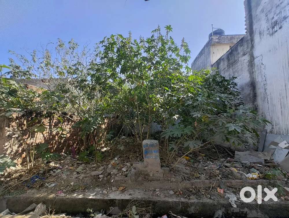 Plot 1000sq Brilliant Location Porsche Colony 40sqft road Negotiable