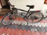 Cycle for sale
