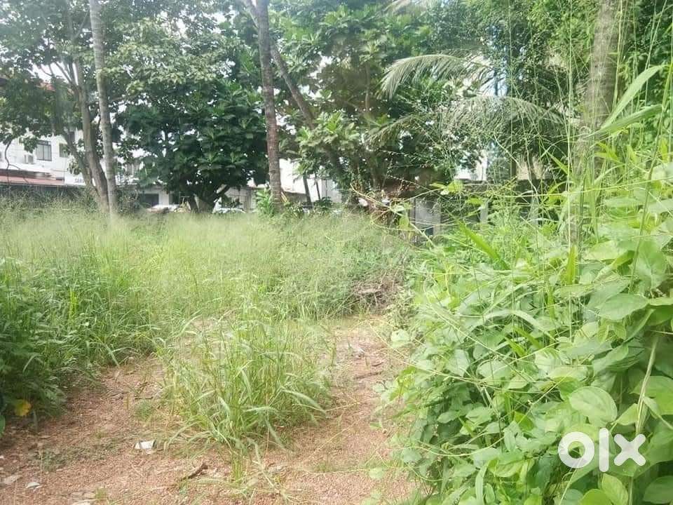 11 cents land in bejai near ksrtc