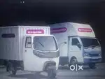 grocery delivery