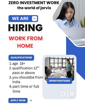 Zeero investment work from home