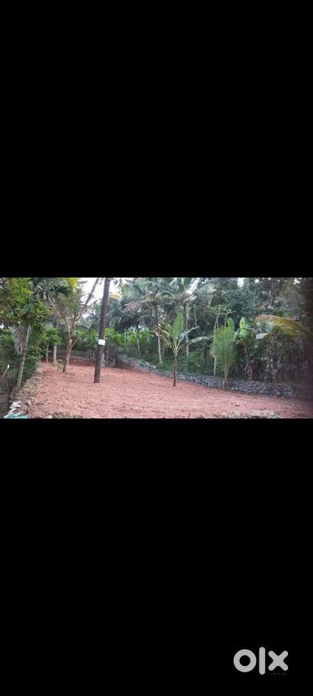 Plot sale 10cent Karakulam