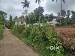 52 cents of land whole/part for sale