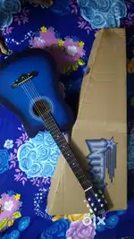 Intern guitar (used only 1 months)