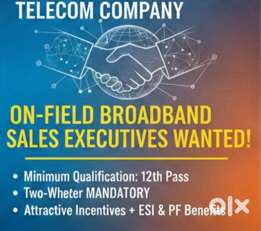 Field sales executive