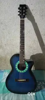 Nexus Guitar with Truss Rod, Bag and Picks.