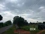 Gujarra Kala me Bikau