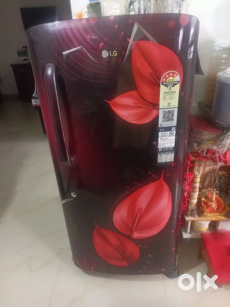 Fridge-205 liter
