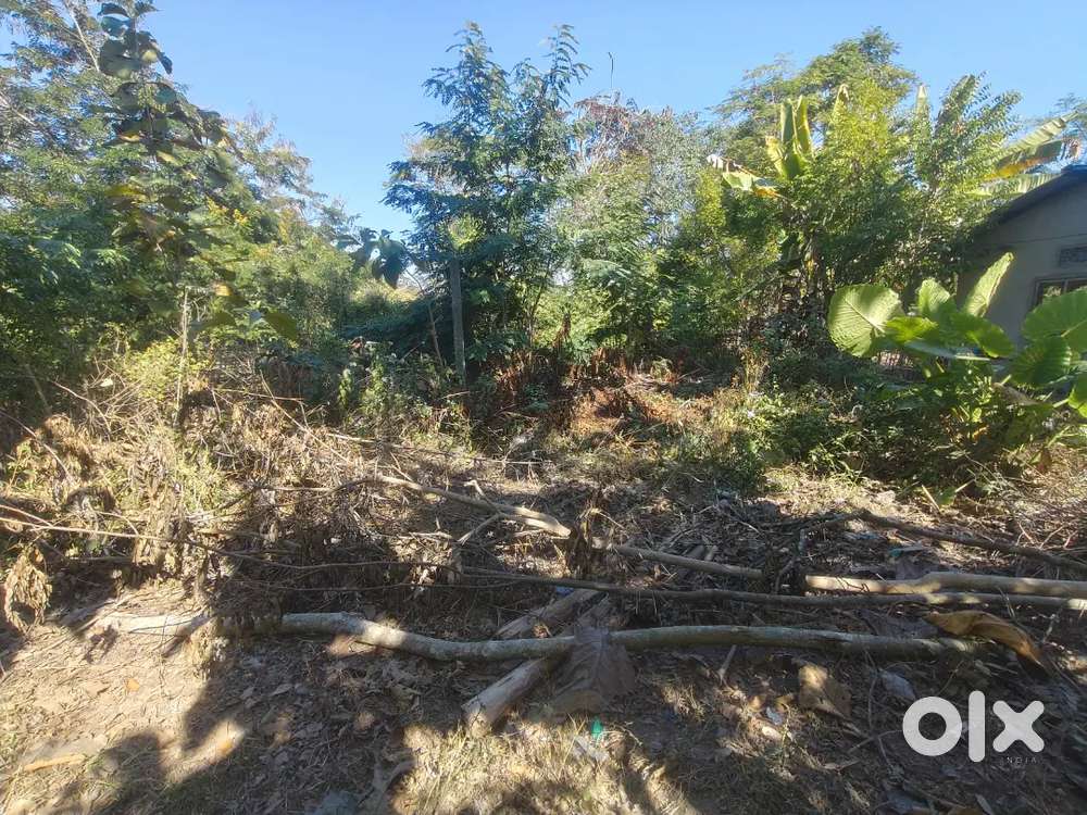 Half bigha land address 3 no hollowkhowa deopani karbianglog assam