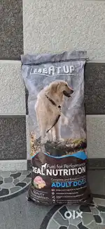 Meat up dog food