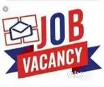 Freshers wanted
