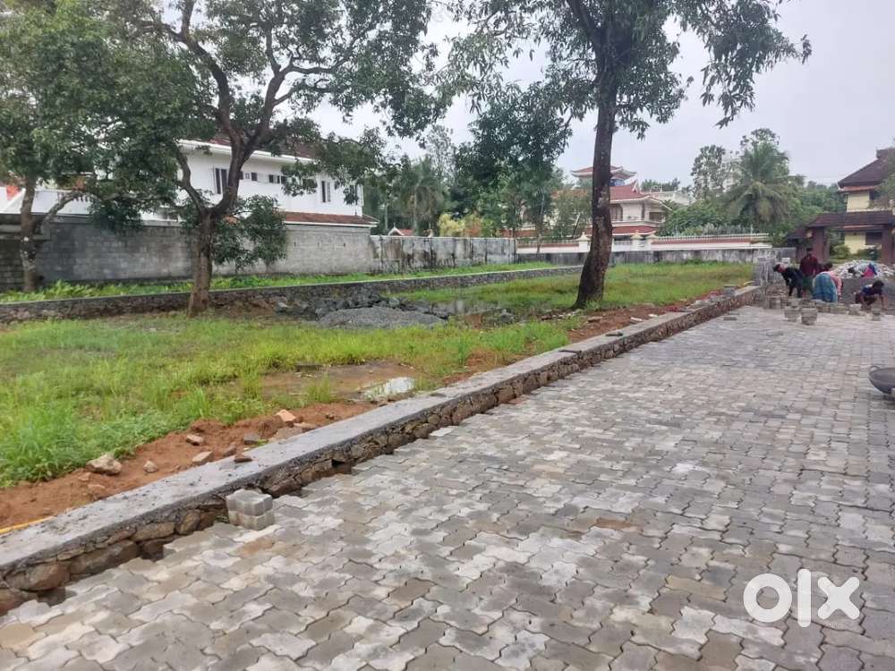 Aluva Desom VIP area 6 cent house plot for sale immediately