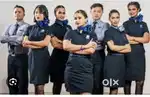 Hiring for Male and female in airline airport job