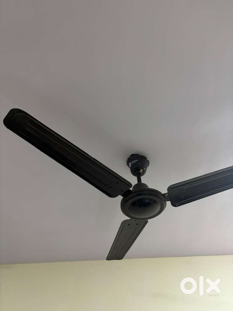 Ceiling fan for sell