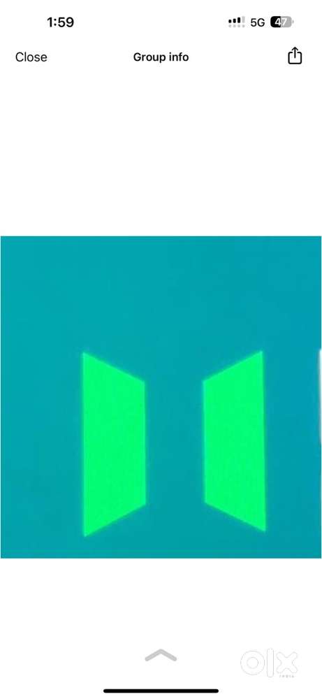 Collection Executive