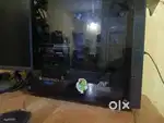 Gaming Computer/PC