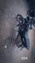 Honda shine