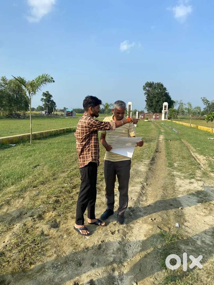 अपने मन पसन्द प्लांट गिफ्ट करे अपने परिवार को बैंक लोन के साथ