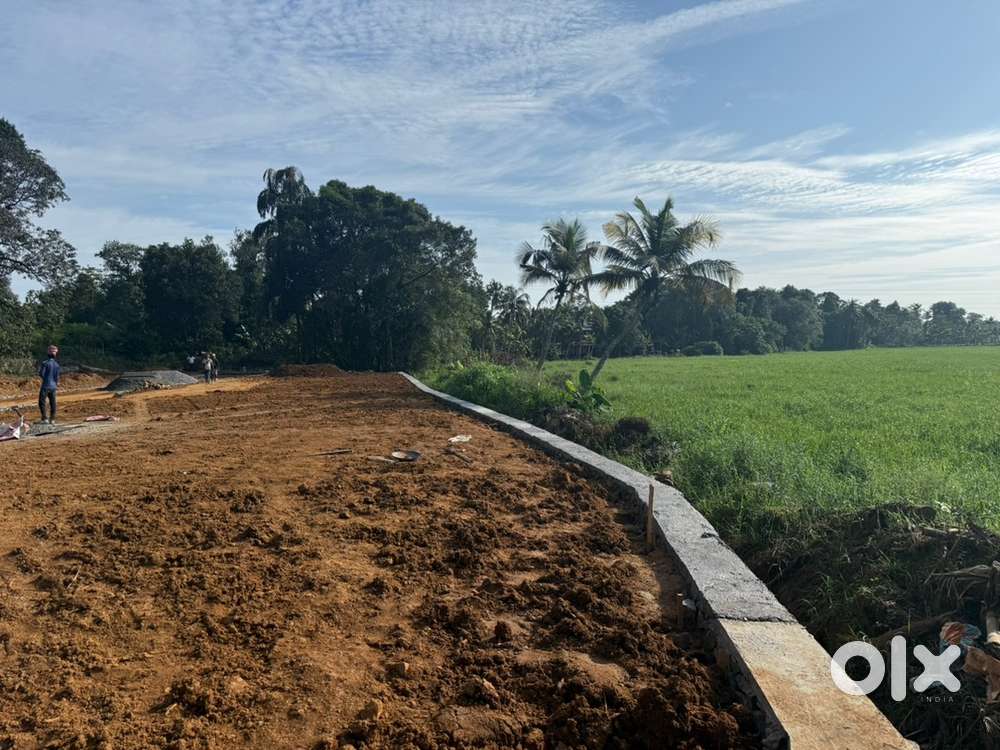PAZHANGANAD PUKKATTUPADY PLOTS NEAR ALUVA BUS STOP INFOPARK 7 KM ONLY