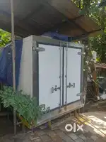 Freezer fish container