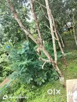 10 Cent  Land For Sale-Ideal for House plots.Price slightly negotiable