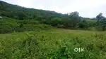 3 Acer land for sale Attappadi