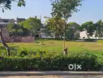 180 Sqyards Plot For Sale in Omaxe Phase 3 New Chandigarh.