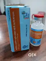 Pharmacist