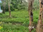 15.5 Cent Plot for sale , 90000/ cent Negotiable, Mayannur ottapalam