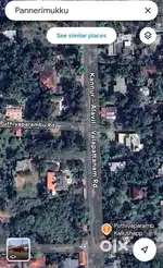 Sale 19 cent plot in Kannur alavil road facing