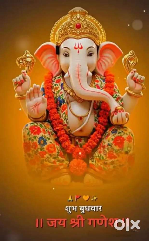 Electrical & electronics fresher need