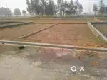 sell plot in tezpur jamuguri hat ,3 bigha 1kotha available