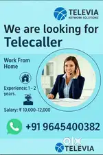 Sales co odinator work from home job