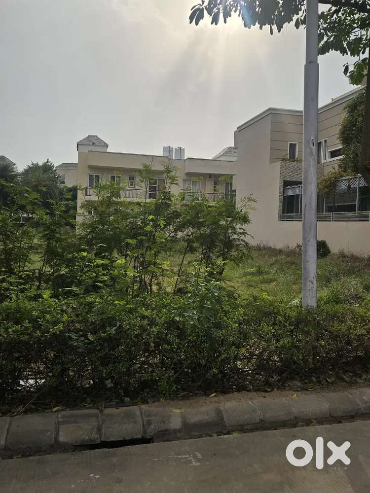 300 Sqyards Plot For Sale in Omaxe Phase 1 New Chandigarh.